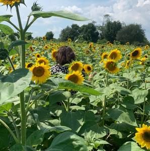 Meet your Posher, Nwe